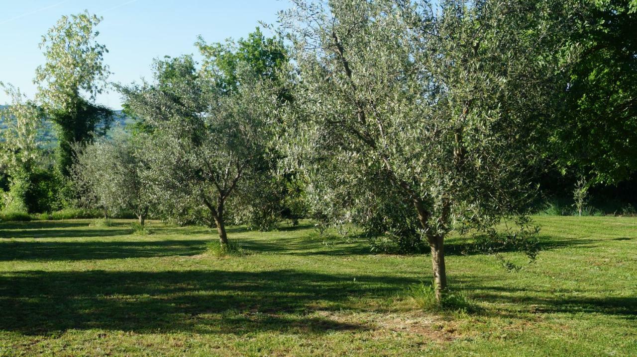 Agriturismo Poggio San Pietro Pitigliano Exteriér fotografie